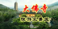 美女被大黑鸡巴中国浙江-新昌大佛寺旅游风景区